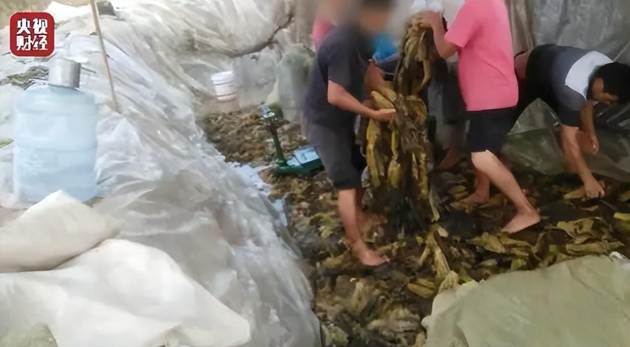 那些曾被315点过名的品牌现在都怎么样了?
