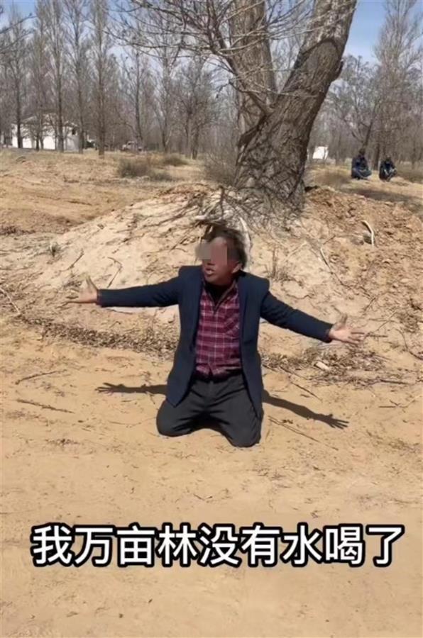 宁夏万亩树木被煤矿断水面临枯死原因:当地一煤矿不供水