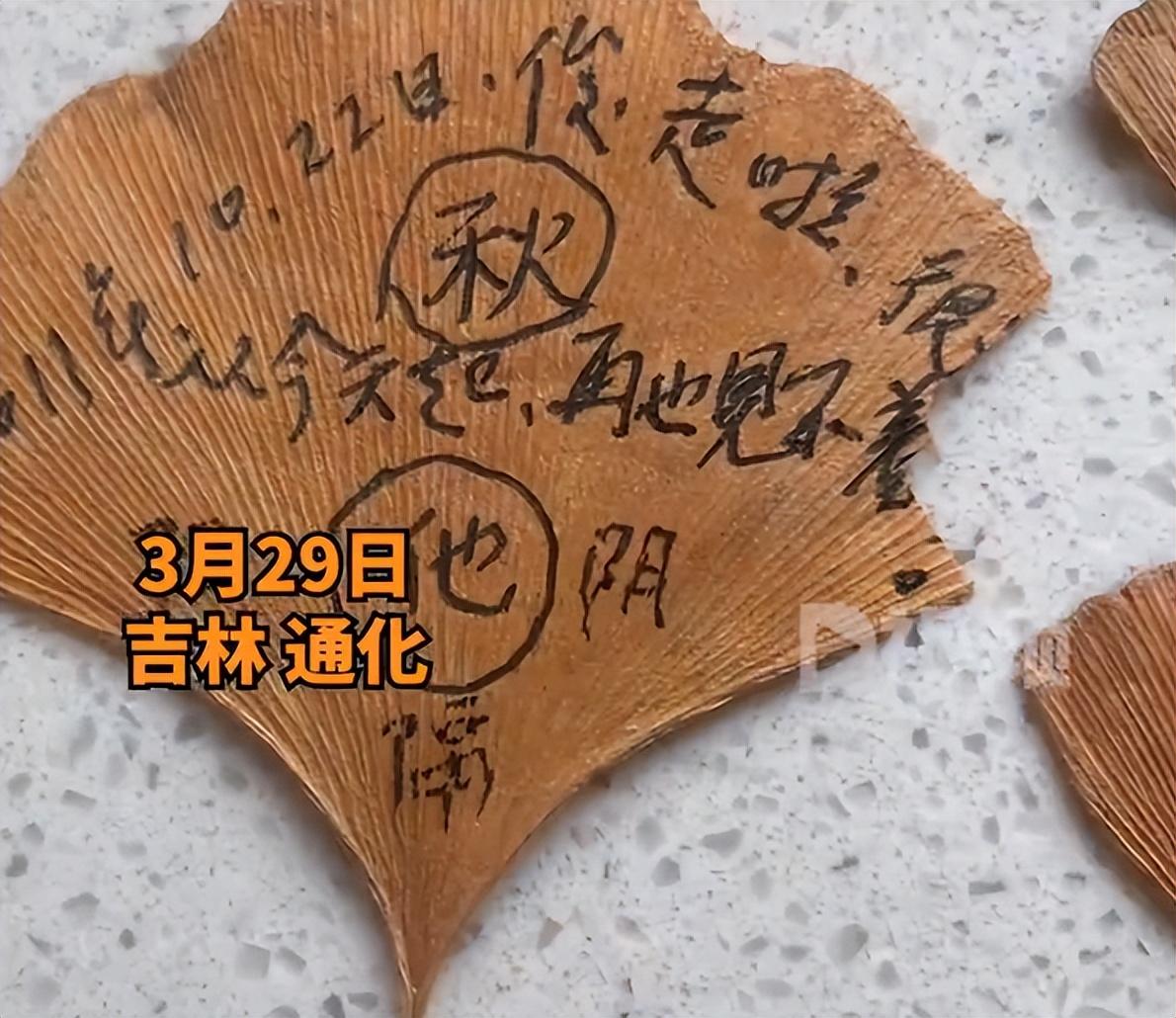 女子收拾母亲遗物发现23片相思叶记录着深深的思念