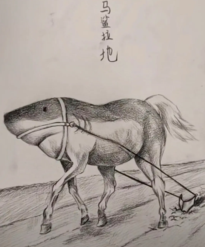 美术生的0分试卷.用谐音梗作画.都是灵魂画手呀
