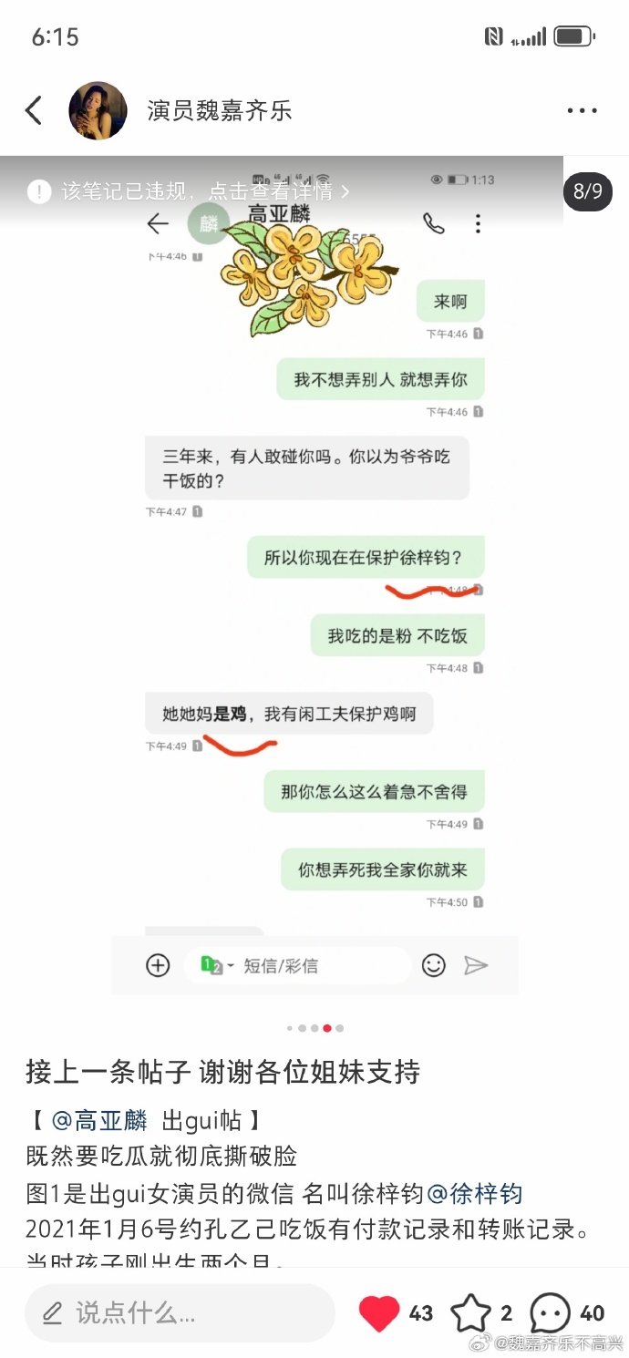 52岁高亚麟出轨26岁徐梓钧的秘密恋情,聊天截图和转帐记录
