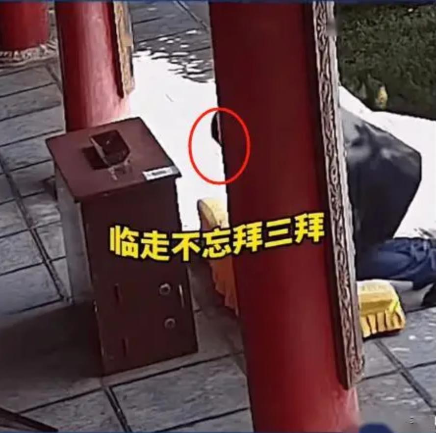 法学硕士偷梁换柱：换功德箱二维码成后窃财3万多元被抓