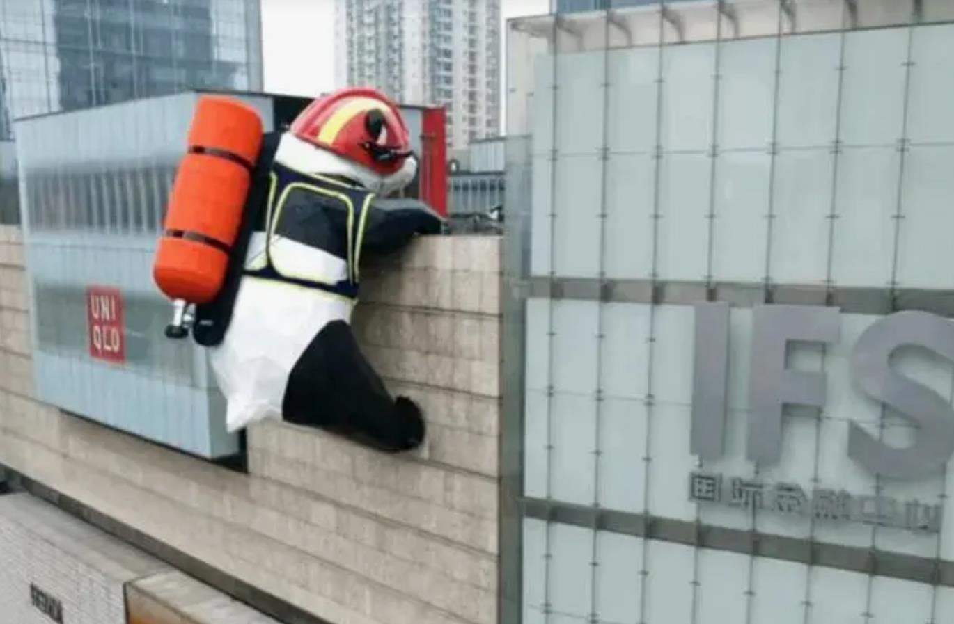 四川成都IFS购物商场标志性“顶流爬墙大熊猫”换上新皮肤