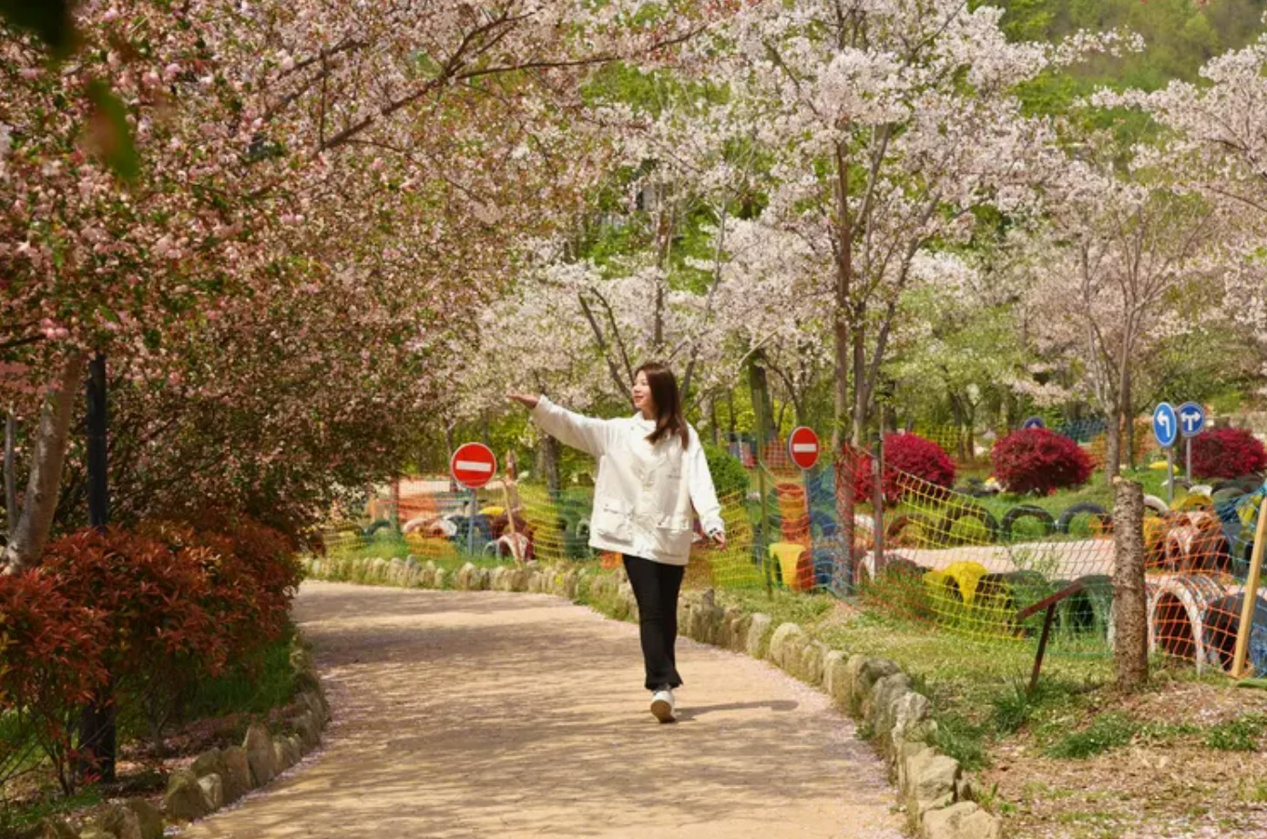 樱花虽错过---却邂逅别样花海，武汉黄陂2026春季游-美到心醉