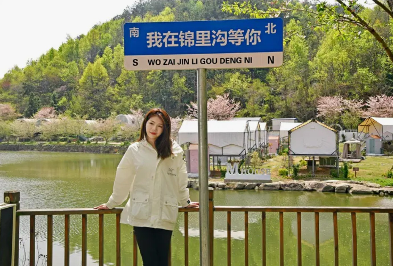 樱花虽错过---却邂逅别样花海，武汉黄陂2026春季游-美到心醉